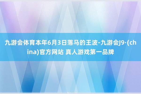 九游会体育本年6月3日落马的王波-九游会J9·(china)官方网站 真人游戏第一品牌