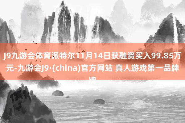 J9九游会体育派特尔11月14日获融资买入99.85万元-九游会J9·(china)官方网站 真人游戏第一品牌