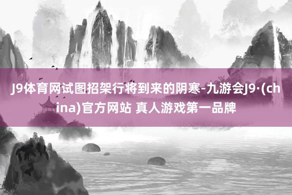 J9体育网试图招架行将到来的阴寒-九游会J9·(china)官方网站 真人游戏第一品牌