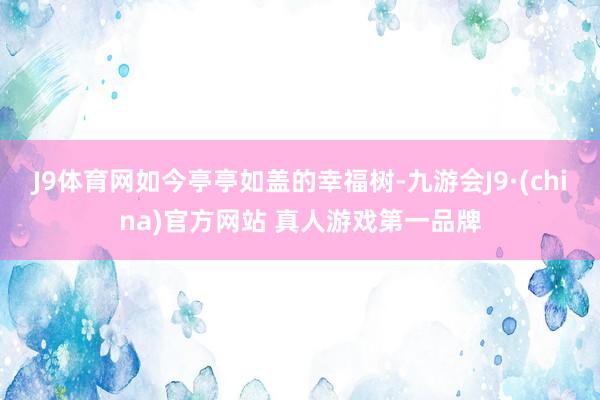 J9体育网如今亭亭如盖的幸福树-九游会J9·(china)官方网站 真人游戏第一品牌