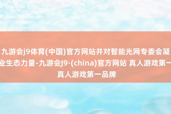 九游会j9体育(中国)官方网站并对智能光网专委会凝华产业生态力量-九游会J9·(china)官方网站 真人游戏第一品牌