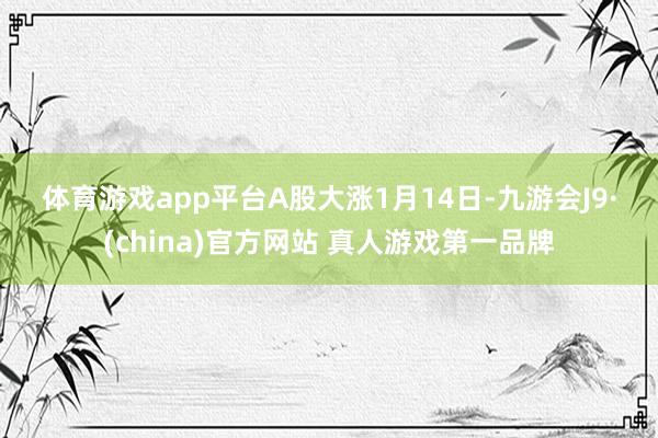 体育游戏app平台　　A股大涨　　1月14日-九游会J9·(china)官方网站 真人游戏第一品牌