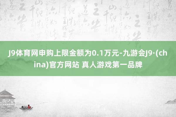 J9体育网申购上限金额为0.1万元-九游会J9·(china)官方网站 真人游戏第一品牌