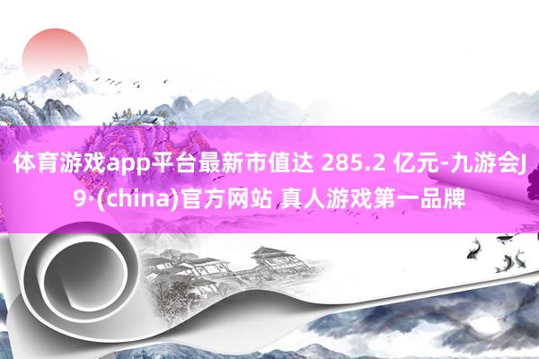 体育游戏app平台最新市值达 285.2 亿元-九游会J9·(china)官方网站 真人游戏第一品牌