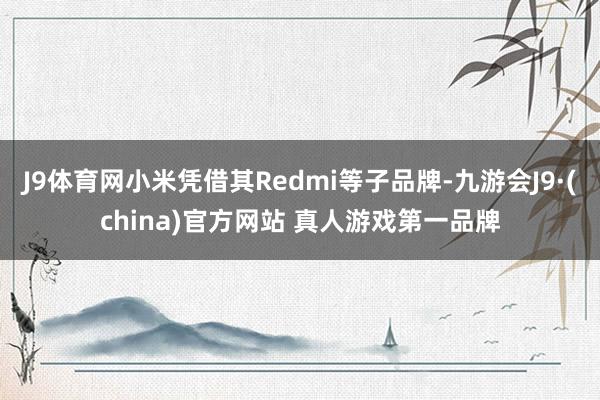 J9体育网小米凭借其Redmi等子品牌-九游会J9·(china)官方网站 真人游戏第一品牌