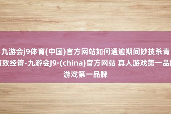 九游会j9体育(中国)官方网站如何通逾期间妙技杀青高效经管-九游会J9·(china)官方网站 真人游戏第一品牌