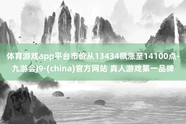 体育游戏app平台市价从13434飙涨至14100点-九游会J9·(china)官方网站 真人游戏第一品牌