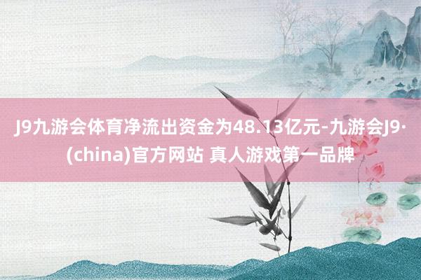J9九游会体育净流出资金为48.13亿元-九游会J9·(china)官方网站 真人游戏第一品牌