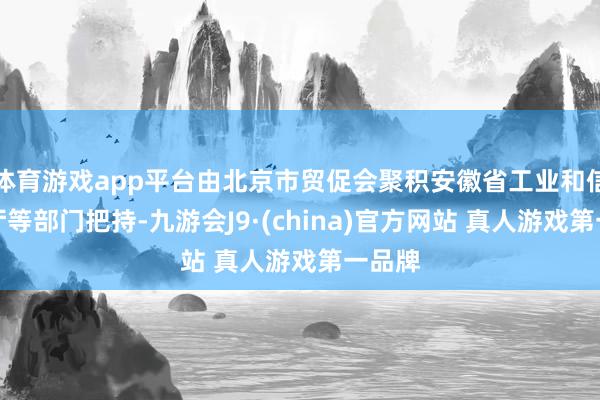 体育游戏app平台由北京市贸促会聚积安徽省工业和信息化厅等部门把持-九游会J9·(china)官方网站 真人游戏第一品牌
